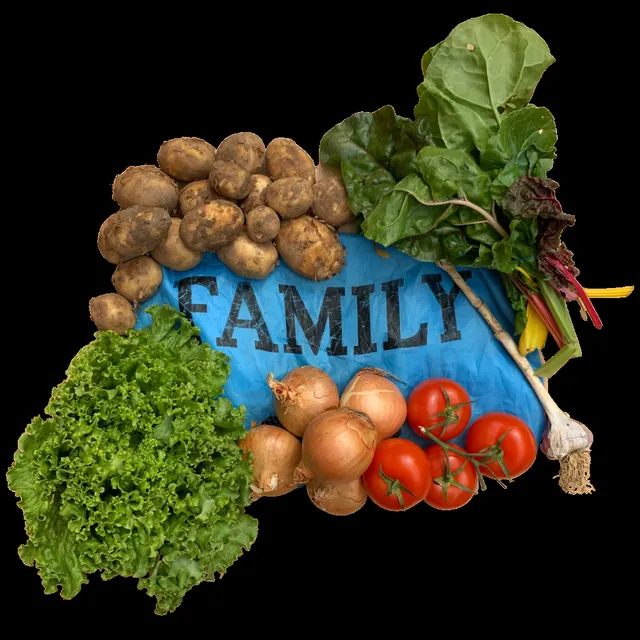 The contents of a Family bag laid out: lettuce, chard, potatoes, tomatoes, onions and garlic