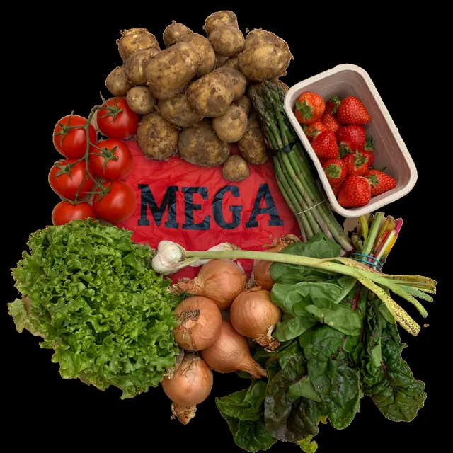 The contents of a Mega bag laid out: potatoes, asparagus, strawberries, tomatoes, lettuce, chard, onions and garlic
