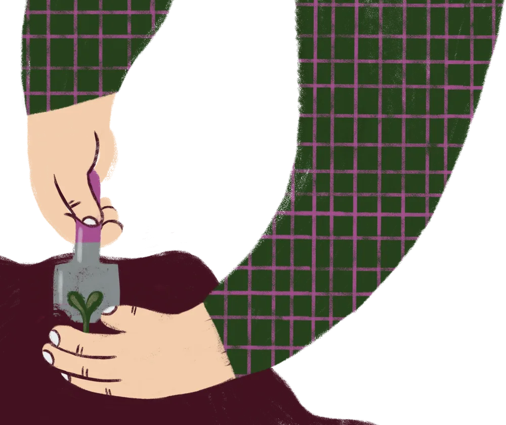 Illustration of hands planting a seedling in dark soil