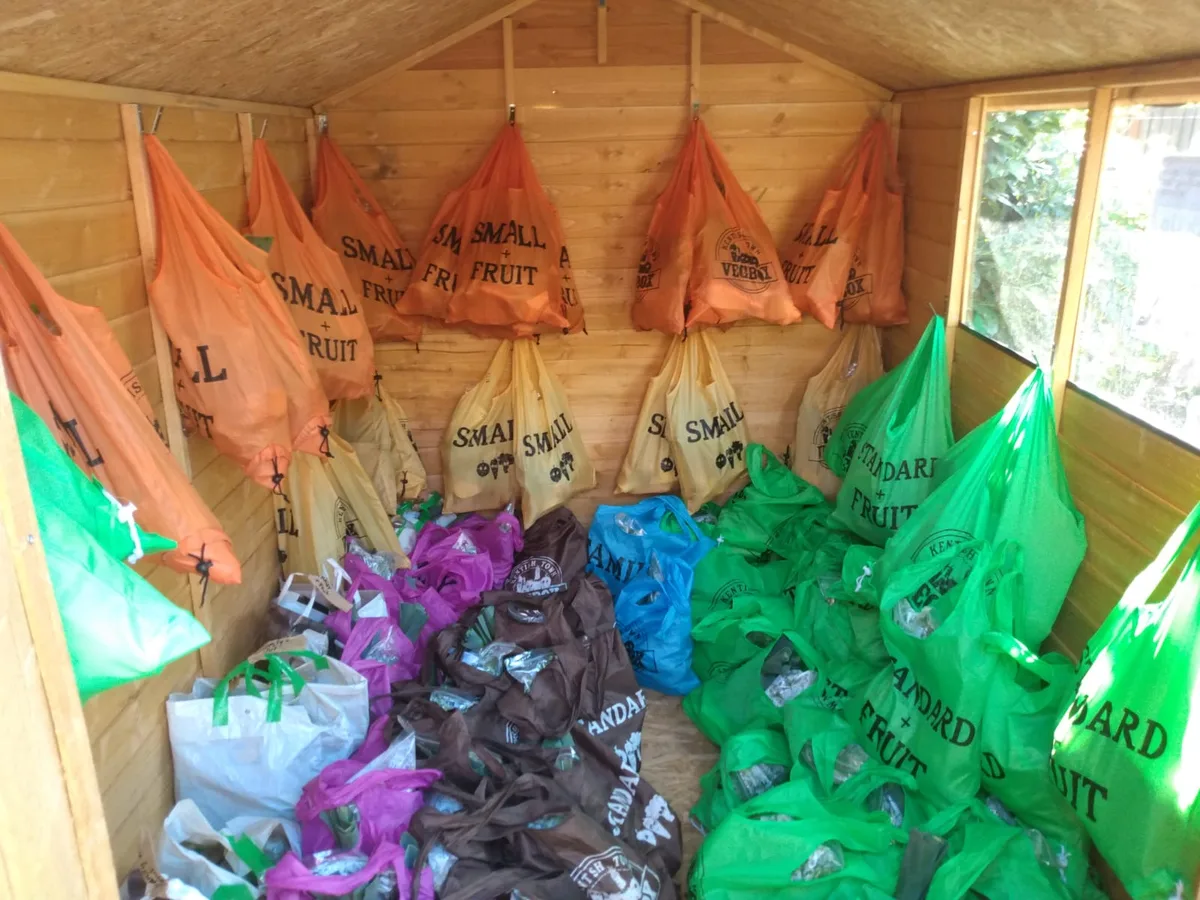 A collection shed filled with labelled Vegbox bags in orange, yellow, green, brown and blue, ready to collect