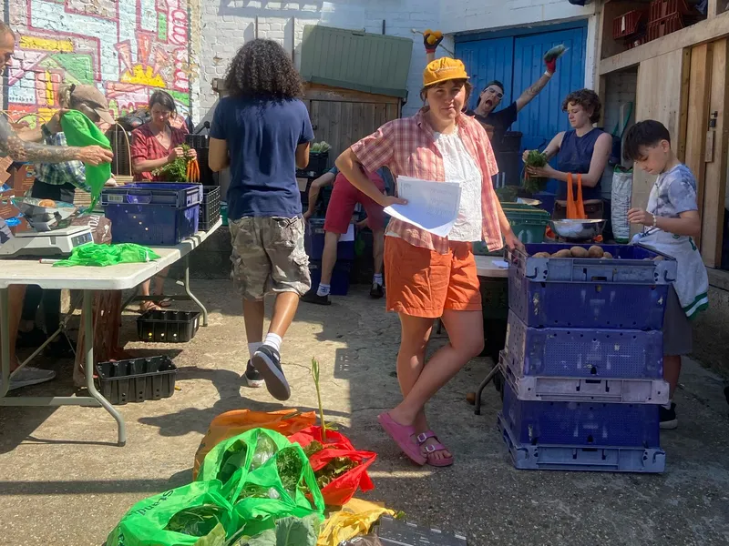 A busy, sunny Wednesday packing session in the yard