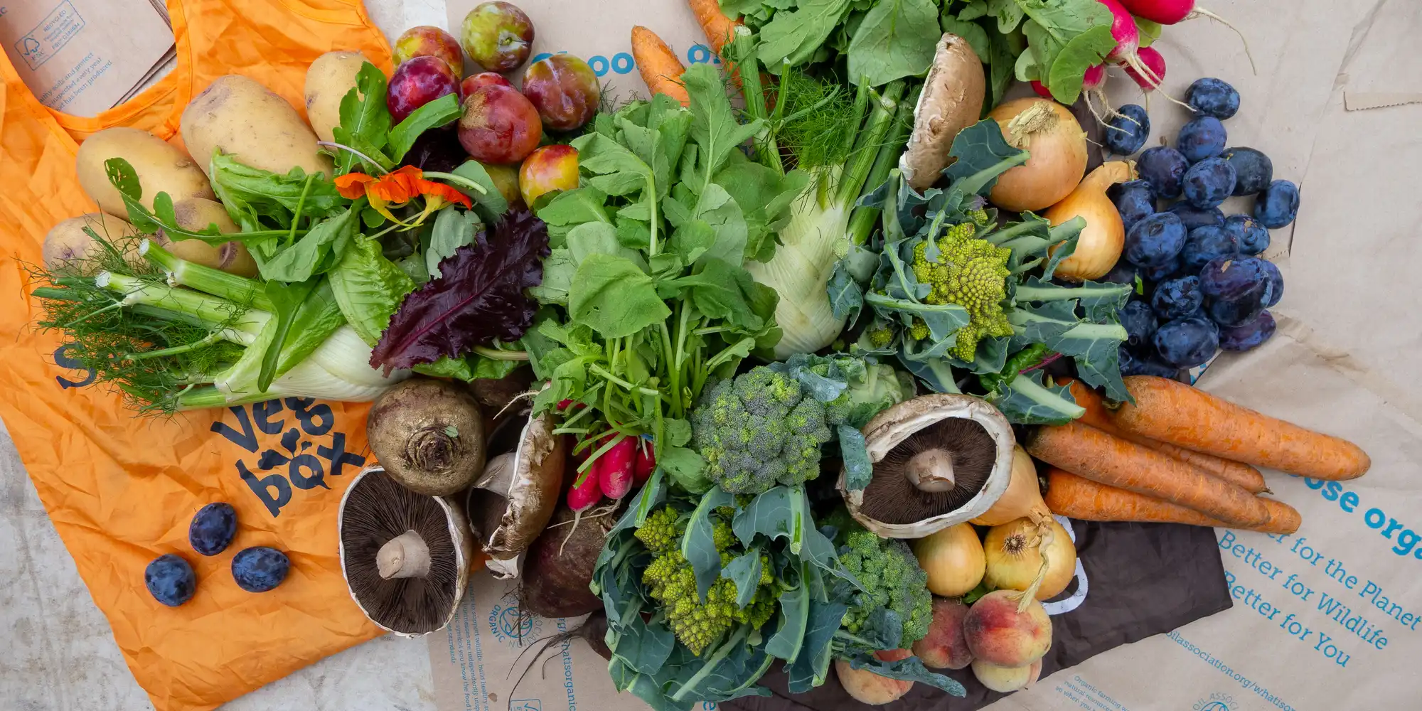 A photograph of various vegetables from Kentish Town Vegbox.